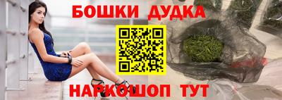 индика Пугачёв