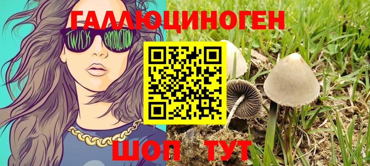 Касимов  Галлюциногенные грибы ЛСД  Галлюциногенные грибы MAGIC MUSHROOMS  Вход с VPN 